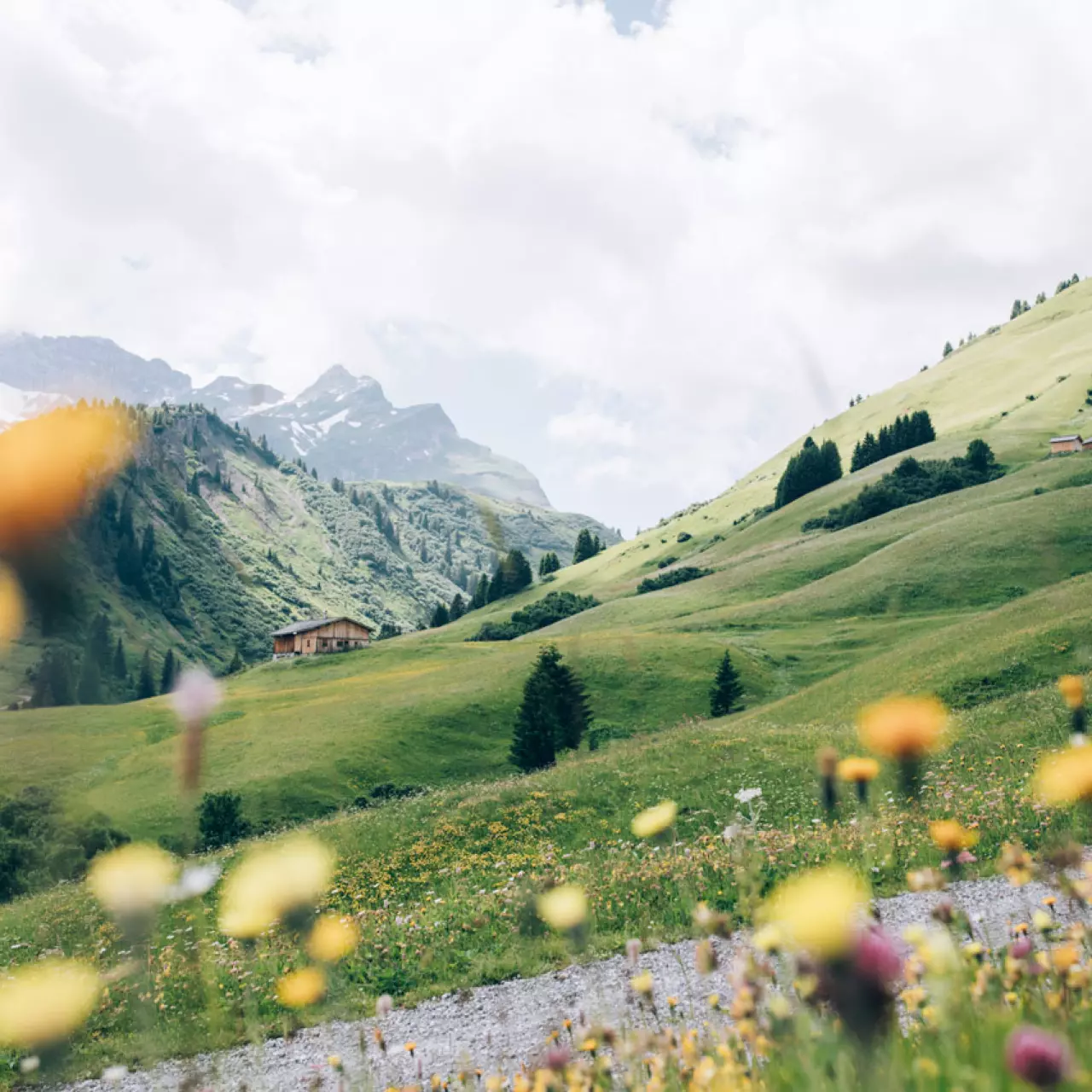 Wanderparadies Arlberg