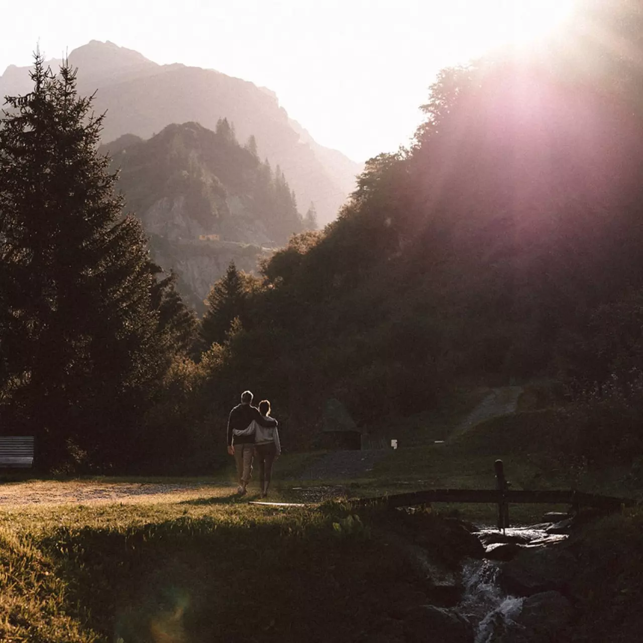 Ein mystischer Sommer